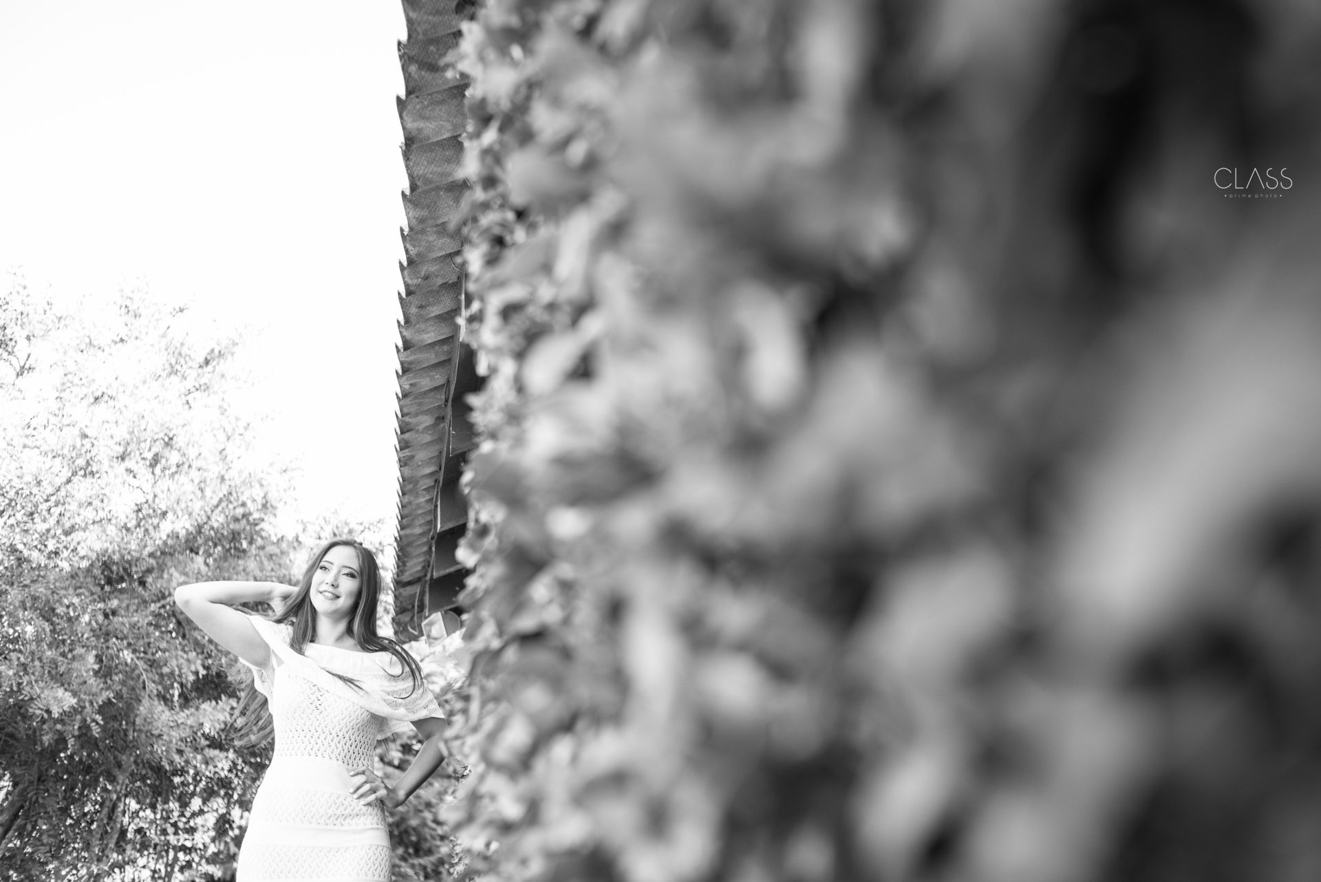 Foto SWEET FIFTEEN IRIS - Imagem 1