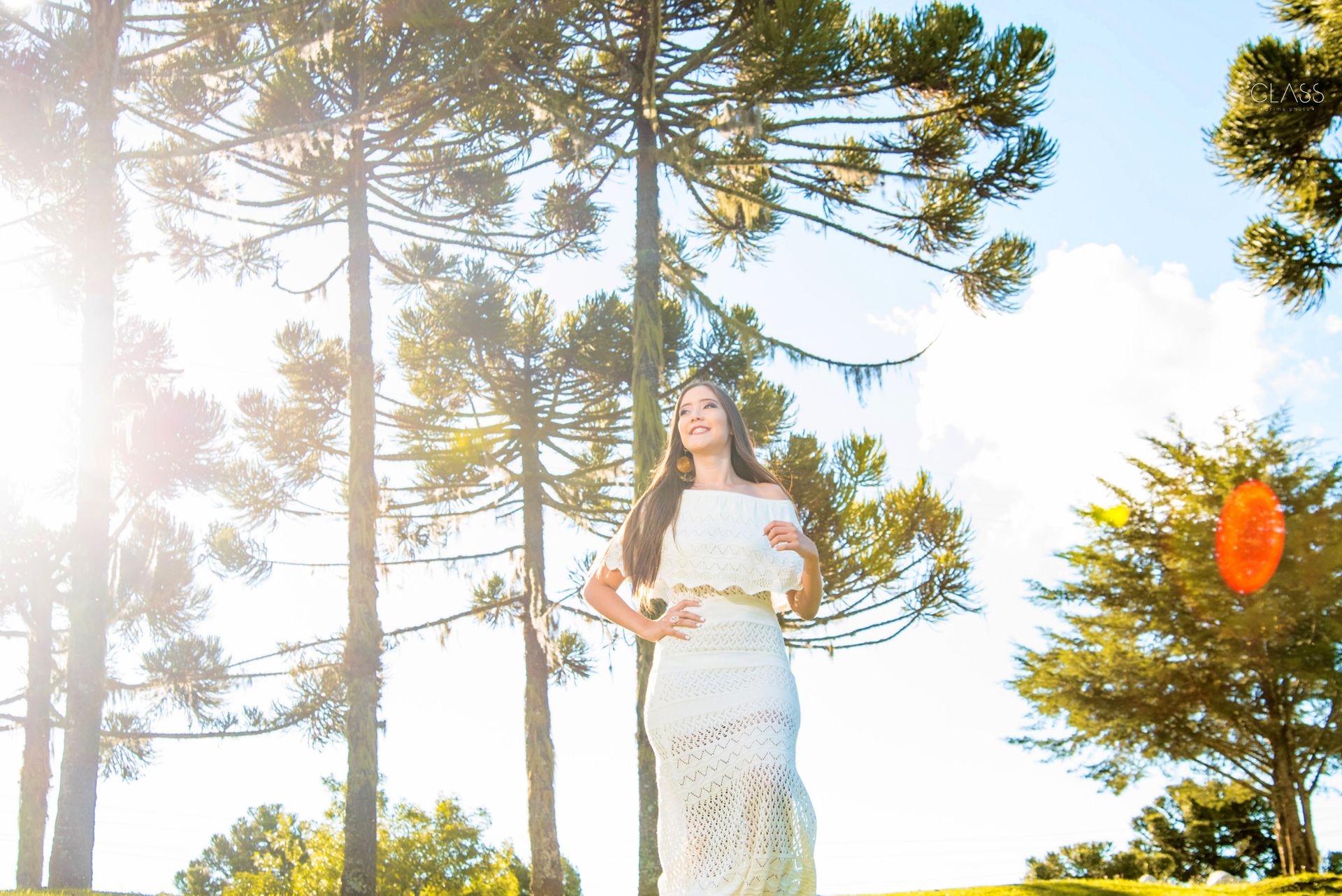 Foto SWEET FIFTEEN IRIS - Imagem 4